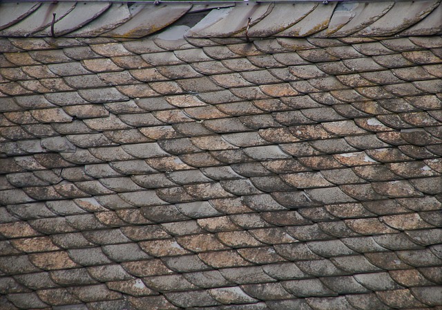 roof of a london house