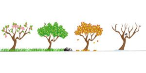 pest control by season
