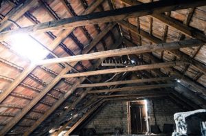 signs of rats in loft