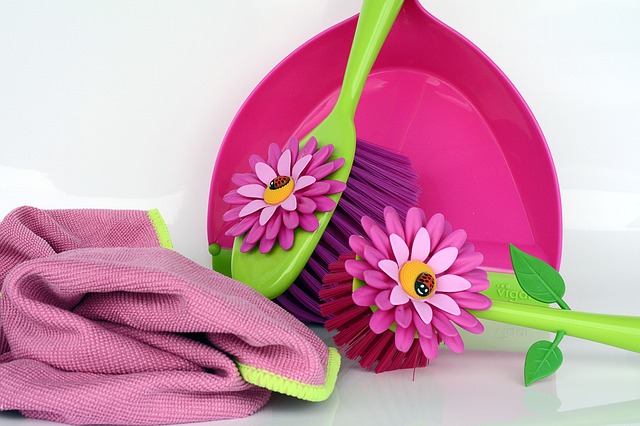spring cleaning for pests