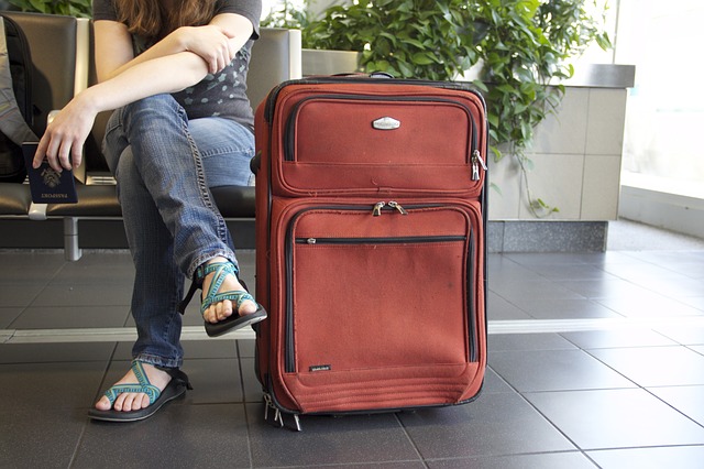 suitcase carrying bed bugs